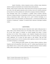 Rinkimų tema Lietuvoje 10 puslapis