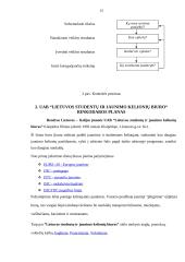 Rinkodaros planas: UAB "Lietuvos studentų ir jaunimo kelionių biuras" 13 puslapis