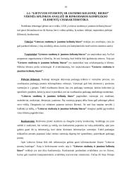 Rinkodaros planas: UAB "Lietuvos studentų ir jaunimo kelionių biuras" 16 puslapis