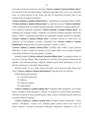 Rinkodaros planas: UAB "Lietuvos studentų ir jaunimo kelionių biuras" 18 puslapis