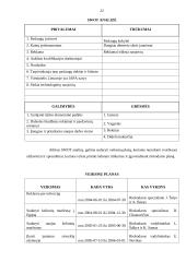 Rinkodaros planas: UAB "Lietuvos studentų ir jaunimo kelionių biuras" 20 puslapis