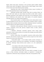 Rinkodaros planas: UAB "Lietuvos studentų ir jaunimo kelionių biuras" 4 puslapis