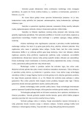 Rinkodaros planas: UAB "Lietuvos studentų ir jaunimo kelionių biuras" 5 puslapis