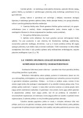 Rinkodaros planas: UAB "Lietuvos studentų ir jaunimo kelionių biuras" 6 puslapis