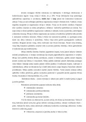 Rinkodaros planas: UAB "Lietuvos studentų ir jaunimo kelionių biuras" 9 puslapis