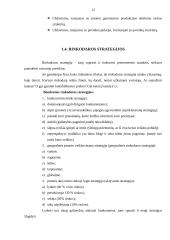 Rinkodaros planas: UAB "Lietuvos studentų ir jaunimo kelionių biuras" 10 puslapis