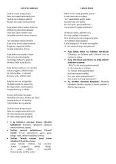 Tėvynė Maironio poezijoje 2 puslapis