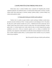 Rinkos pusiausvyra ir kainų pokyčio įtaka prekių paklausai 8 puslapis