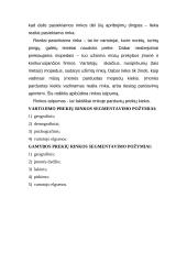 Rinkos segmentavimas 5 puslapis