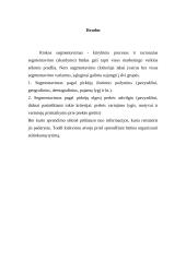 Rinkos segmentavimas 6 puslapis
