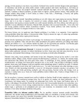 Šatrijos Ragana "Sename dvare” aprašymas 2 puslapis