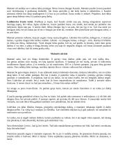 Šatrijos Ragana "Sename dvare” aprašymas 3 puslapis