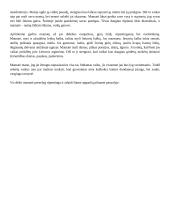 Šatrijos Ragana "Sename dvare” aprašymas 5 puslapis