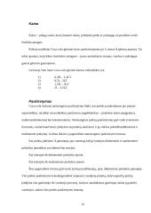 Rinkos tyrimas: Coca-cola gėrimas 13 puslapis