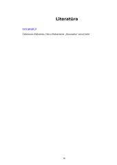 Rinkos tyrimas: Coca-cola gėrimas 16 puslapis