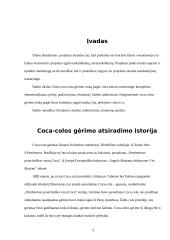 Rinkos tyrimas: Coca-cola gėrimas 3 puslapis