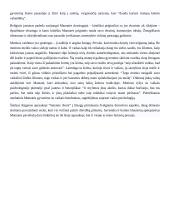 Motinos vaidmuo Šatrijos Raganos "Sename dvare" 2 puslapis