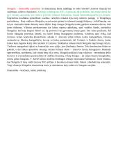 Skirgaila – dramatiška asmenybė