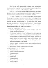 Rytų religija 6 puslapis