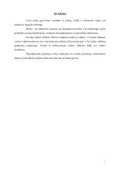 Rizikos valdymas. Rizikos draudimas 2 puslapis