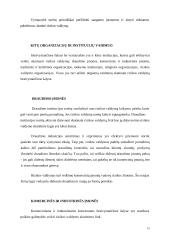 Rizikos valdymas. Rizikos draudimas 15 puslapis