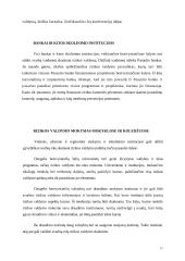 Rizikos valdymas. Rizikos draudimas 17 puslapis