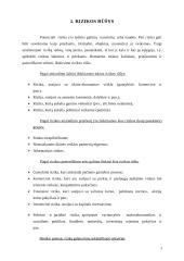 Rizikos valdymas. Rizikos draudimas 3 puslapis