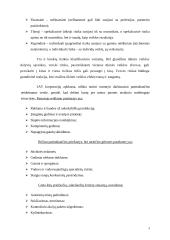 Rizikos valdymas. Rizikos draudimas 4 puslapis