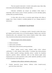 Rizikos valdymas. Rizikos draudimas 5 puslapis