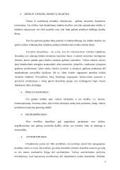 Rizikos valdymas. Rizikos draudimas 8 puslapis