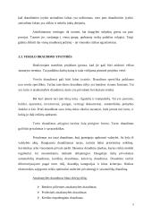 Rizikos valdymas. Rizikos draudimas 9 puslapis