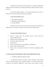 Rizikos valdymas. Rizikos draudimas 10 puslapis