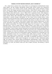 Darbas romane „Balta Drobulėʺ