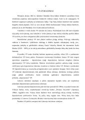 Rodikliai, apibūdinantys vertybinius popierius 4 puslapis