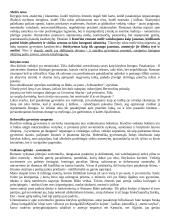 J. Kunčinas autobiografinis romanas „Tūla“ 3 puslapis