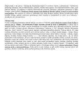 J. Kunčinas autobiografinis romanas „Tūla“ 4 puslapis