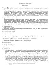 Viskas apie Jurgį Savickį 2 puslapis