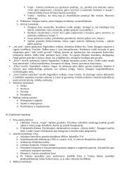 Viskas apie Jurgį Savickį 3 puslapis