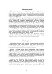 Romantizmo epocha 3 puslapis