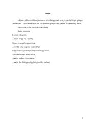 Rudasis lokys 2 puslapis