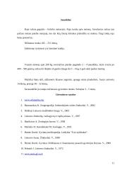 Rudasis lokys 11 puslapis