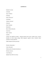 Rudasis lokys 3 puslapis