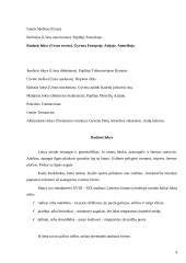 Rudasis lokys 4 puslapis