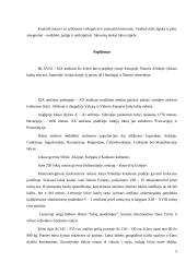 Rudasis lokys 5 puslapis