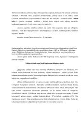 Rudasis lokys 7 puslapis