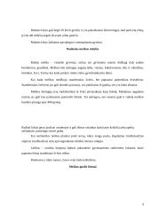 Rudasis lokys 9 puslapis