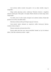 Rudasis lokys 10 puslapis