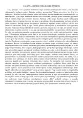 Valkataujančio inteligento patirtis