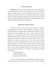 Rūgštusis lietus 3 puslapis