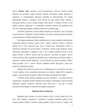 Rūgštusis lietus 4 puslapis